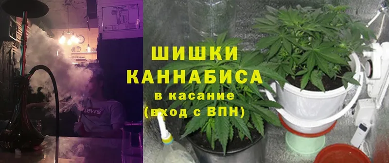 Конопля THC 21%  купить закладку  Орск 